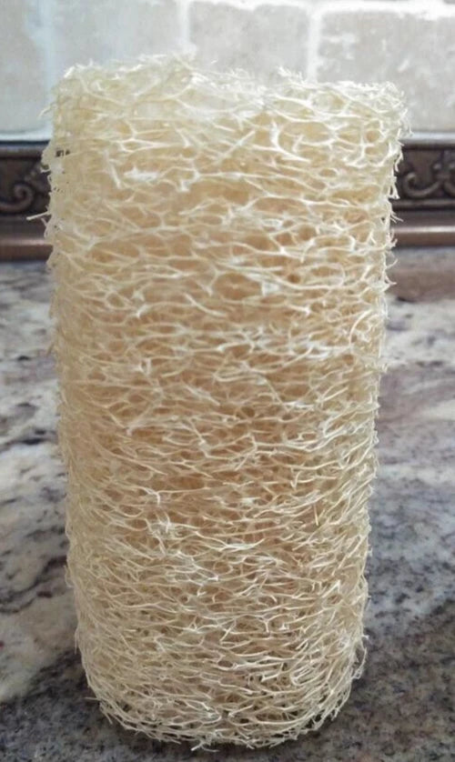 BULK PRICE FREE SHIP USA Organic Loofah Luffa Sponge Facial Skin Care Exfoliator