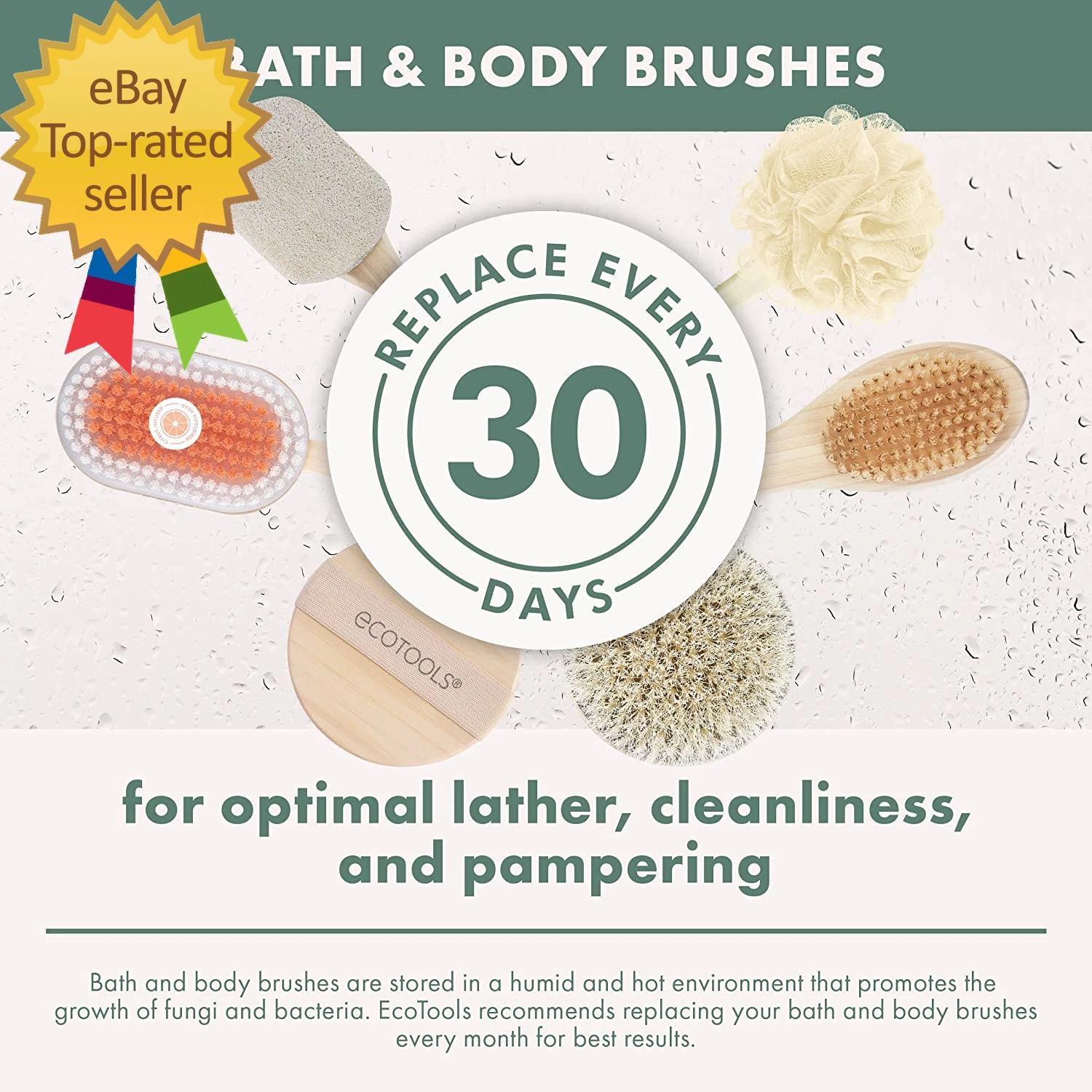 Bath Bristle Brush Bath Brush with Long Handle,Cleanse Back & Hard-To-Reach Area