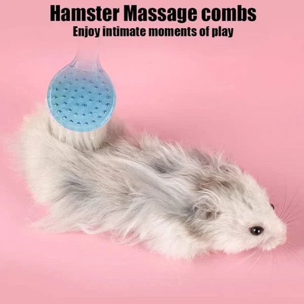 Long Hair Hedgehog Bathing Brush Round Head Guinea Pig Massage Combs  Grooming