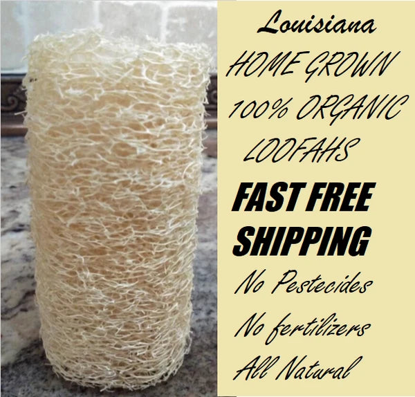 BULK PRICE FREE SHIP USA Organic Loofah Luffa Sponge Facial Skin Care Exfoliator