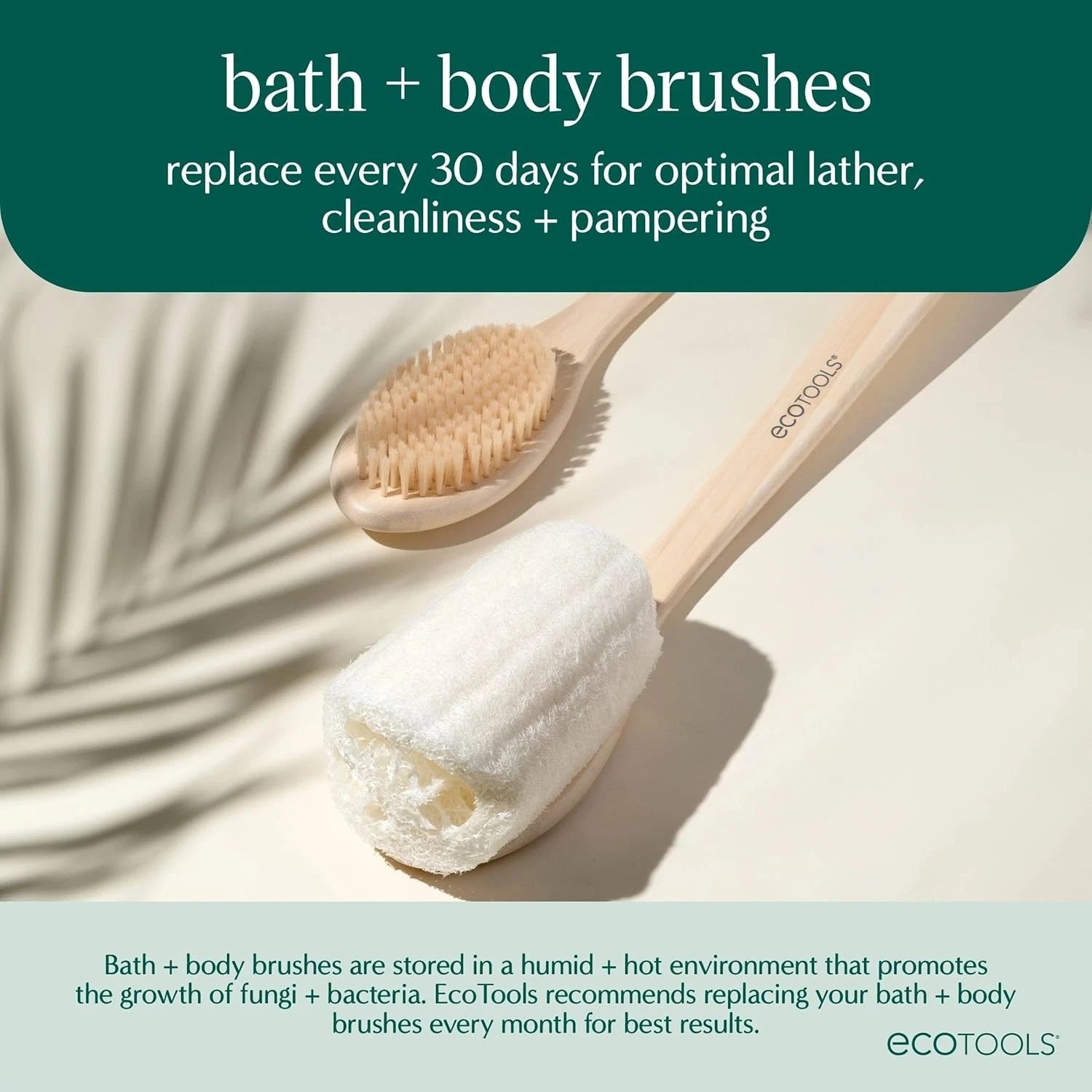 NEW-Long Handle Bath Brush Back Scrubber Shower Exfoliating Body Brush Vegan