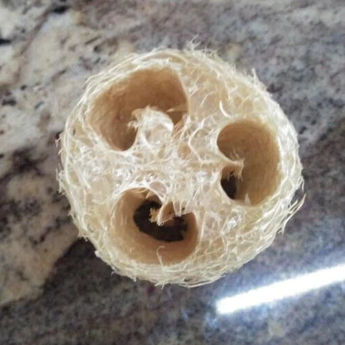 BULK PRICE FREE SHIP USA Organic Loofah Luffa Sponge Facial Skin Care Exfoliator